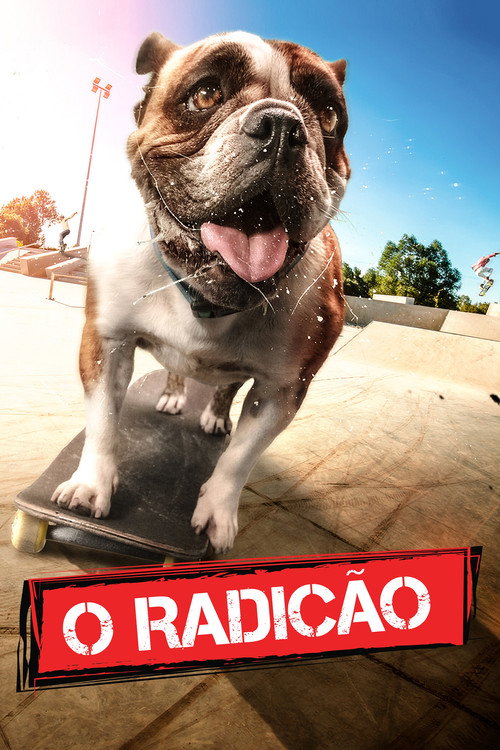 Assistir O Radicão