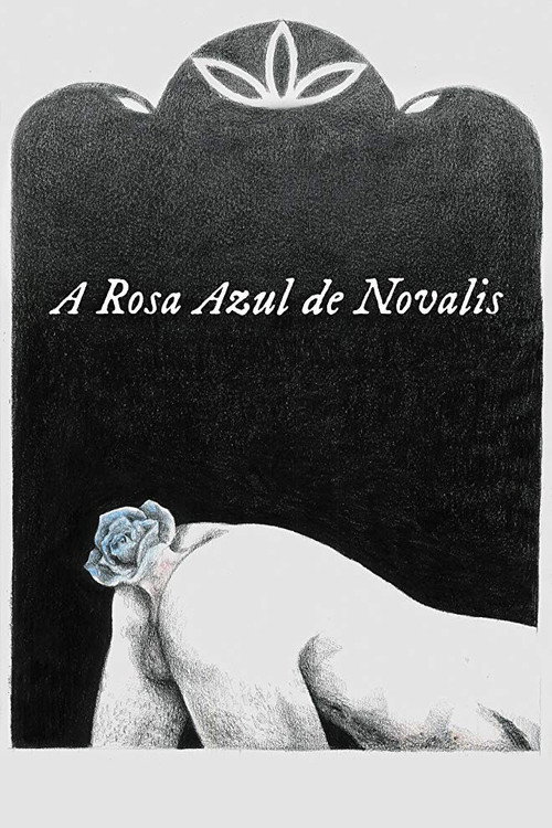Assistir A Rosa Azul de Novalis
