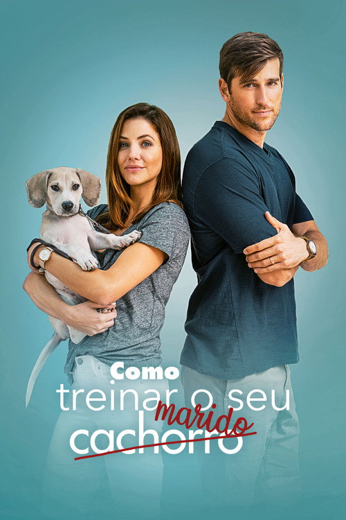 Assistir Como Treinar o Seu Marido