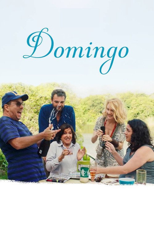 Assistir Domingo