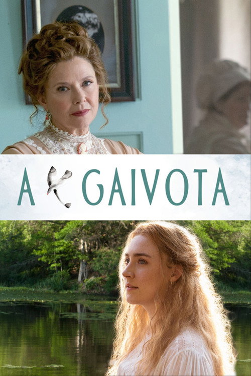 Assistir A Gaivota