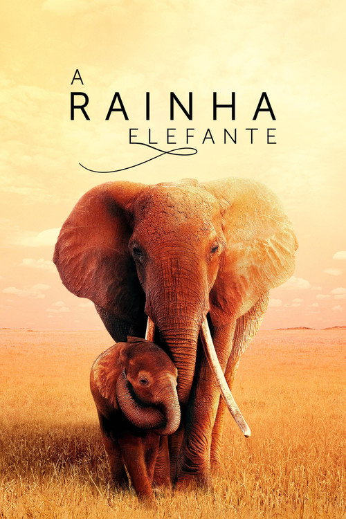 Assistir The Elephant Queen
