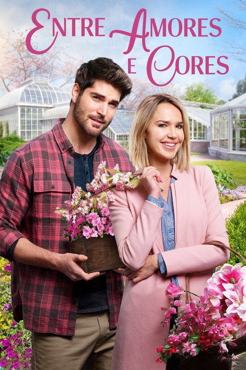 Assistir Entre Amores e Cores