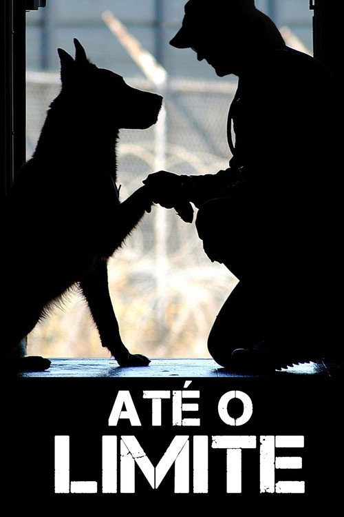 Assistir Até o Limite