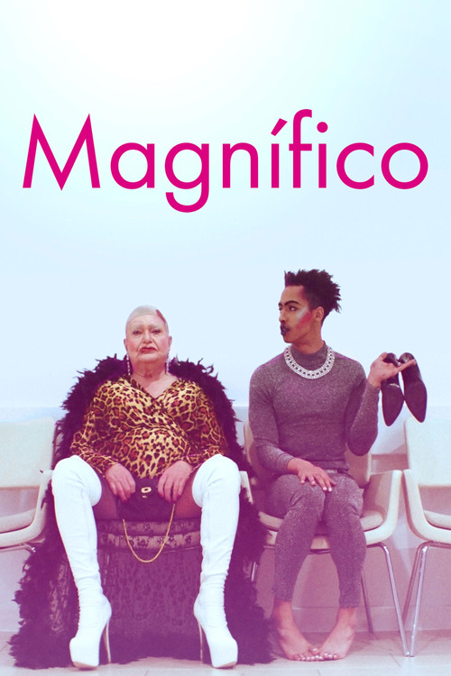 Assistir Magnífico