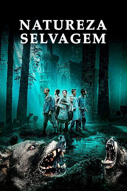 Assistir Natureza Selvagem