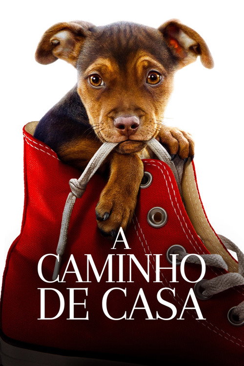 Assistir A Caminho de Casa