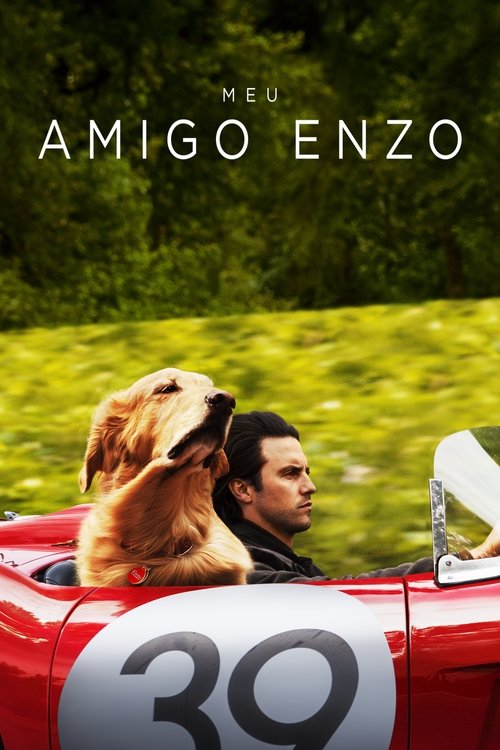 Assistir Meu Amigo Enzo