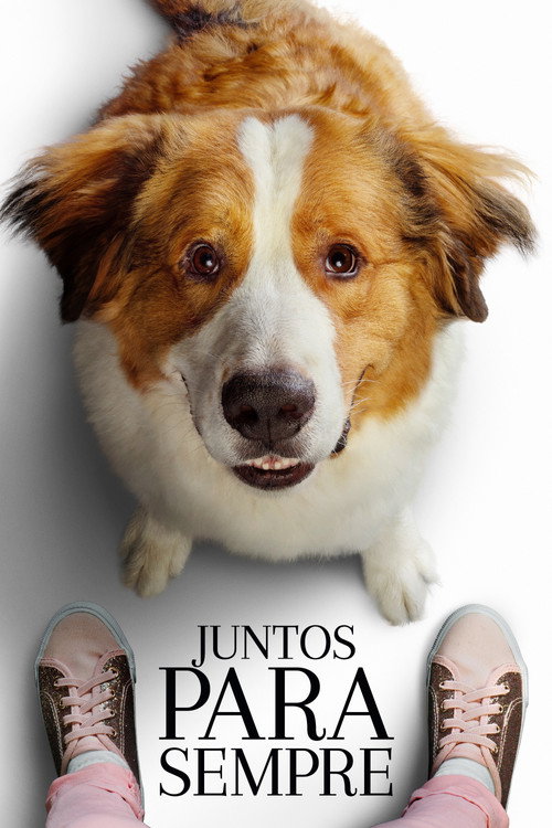 Assistir Juntos para Sempre