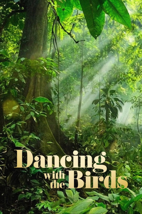 Assistir Dança dos Pássaros