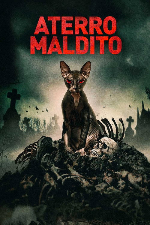 Assistir Aterro Maldito