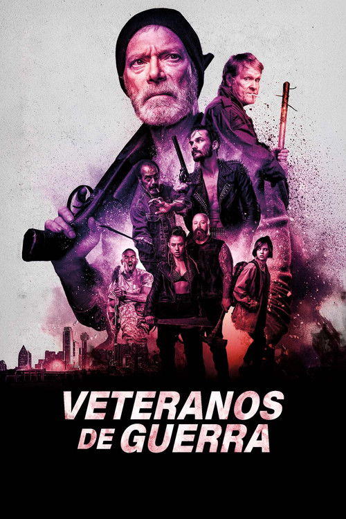 Assistir Veteranos de Guerra