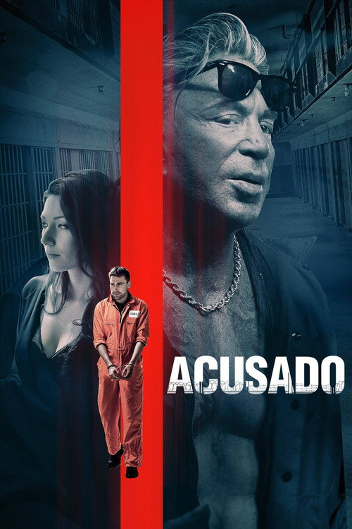Assistir Acusado