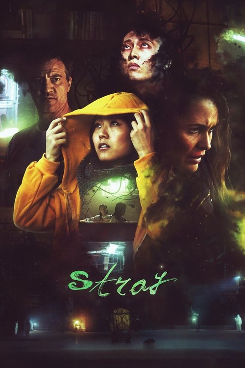 Assistir Stray