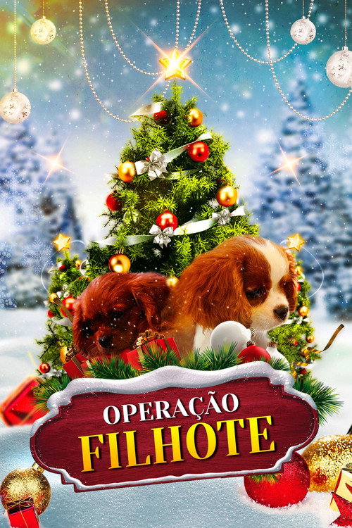 Assistir Operação Filhote