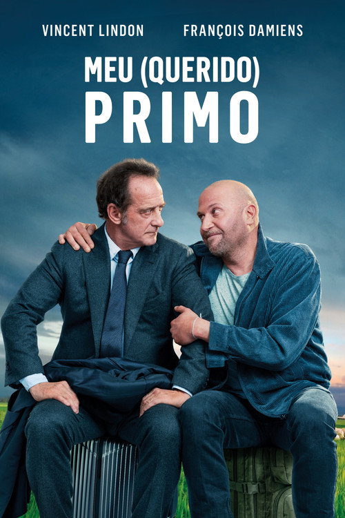 Assistir Meu (Querido) Primo