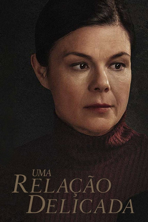 Assistir Uma Relação Delicada