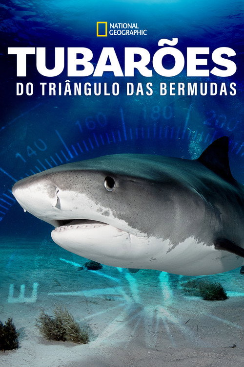 Assistir Tubarões do Triângulo das Bermudas