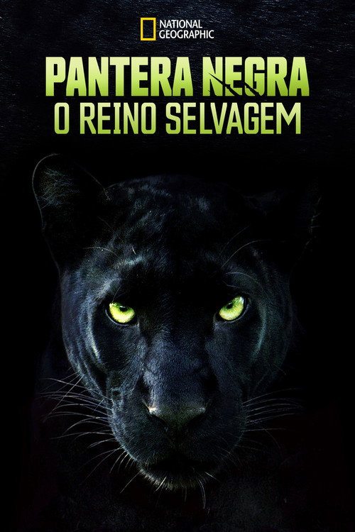 Assistir Pantera Negra: O Reino Selvagem