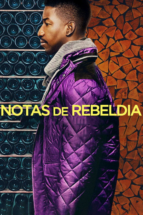 Assistir Notas de Rebeldia