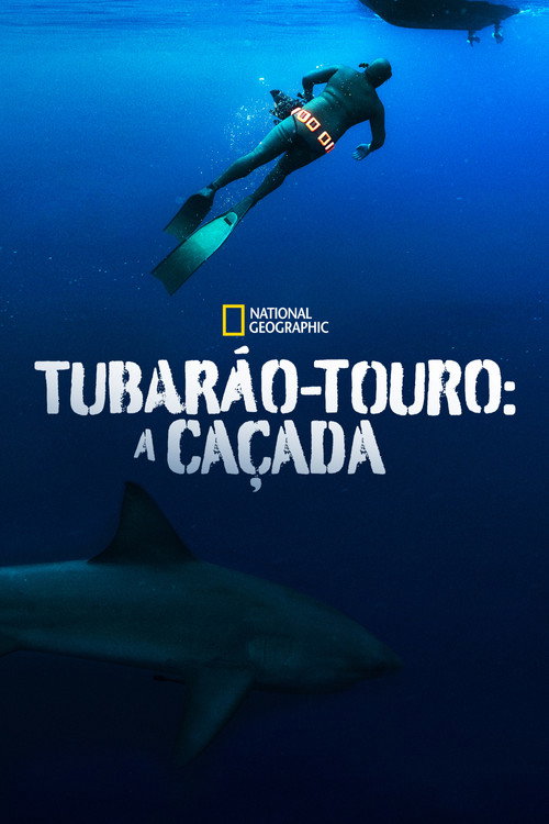 Assistir Tubarão-Touro: A Caçada