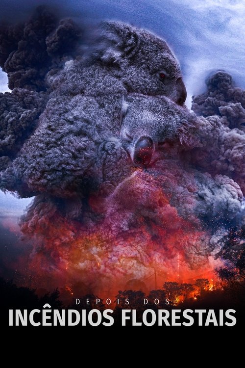 Assistir Depois dos Incêndios Florestais