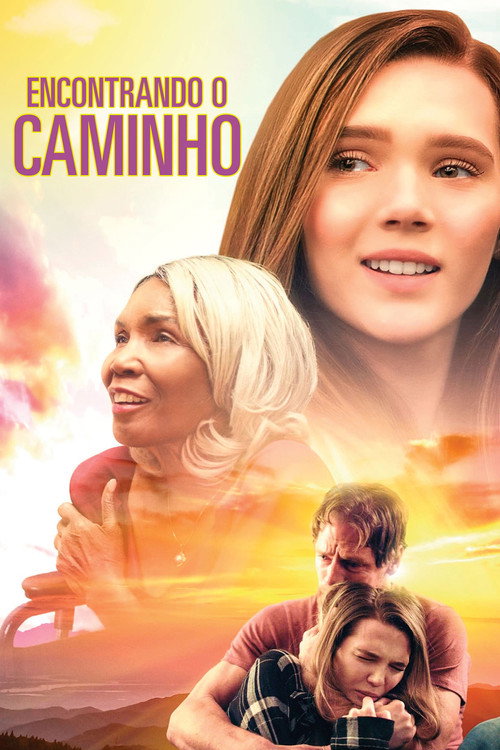 Assistir Encontrando o Caminho