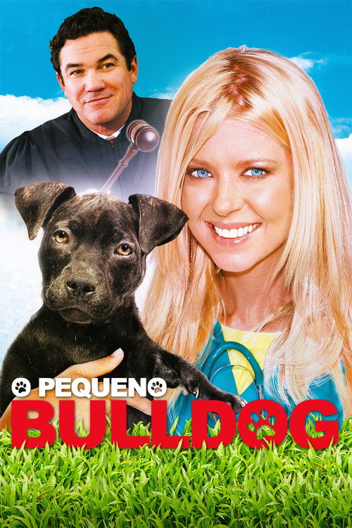 Assistir O Pequeno Bulldog