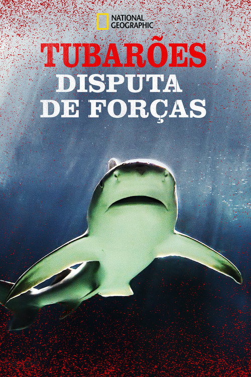 Assistir Tubarões: Disputa de Forças