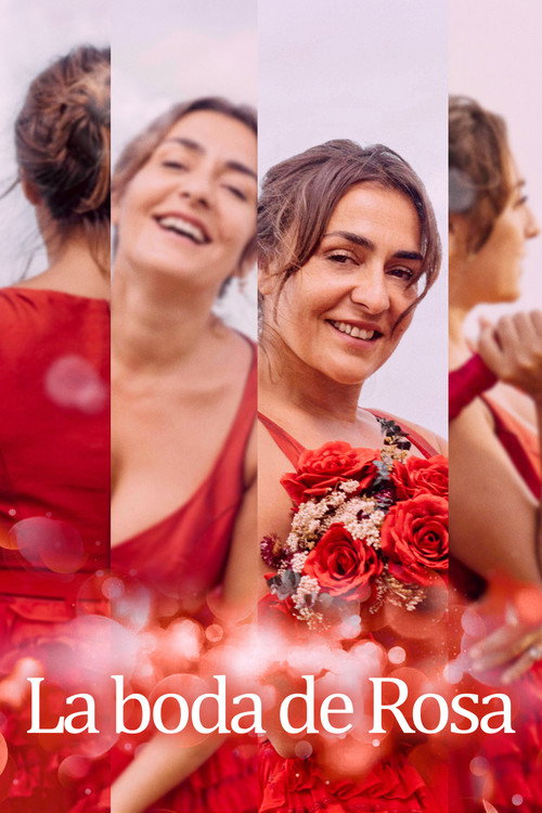 Assistir La boda de Rosa