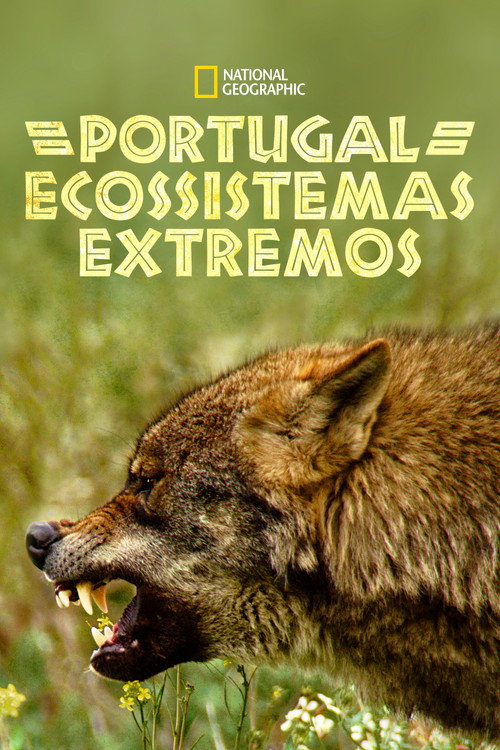 Assistir Portugal: Ecossistemas Extremos