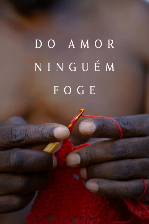 Assistir Do Amor Ninguém Foge