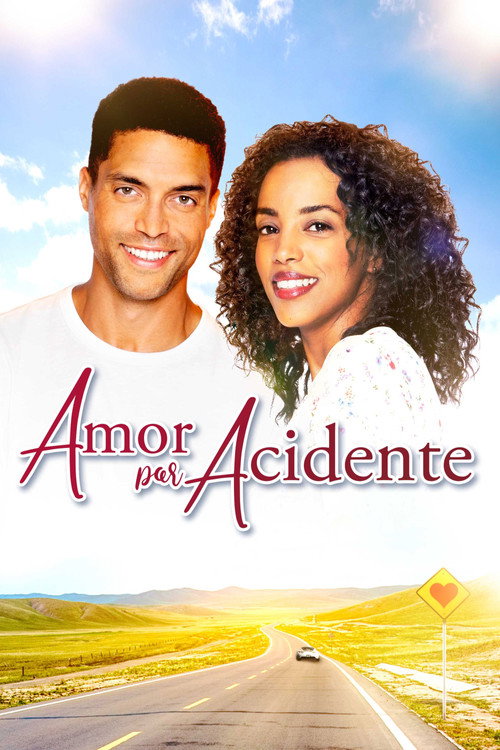 Assistir Amor Por Acidente