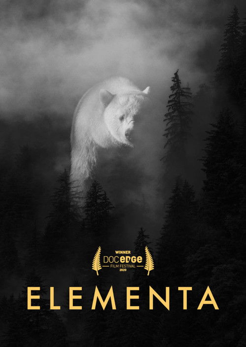 Assistir Elementa