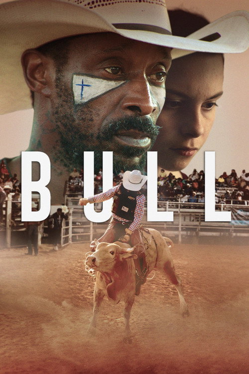 Assistir Bull