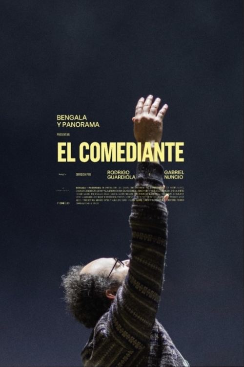 Assistir Essa Não É uma Comédia
