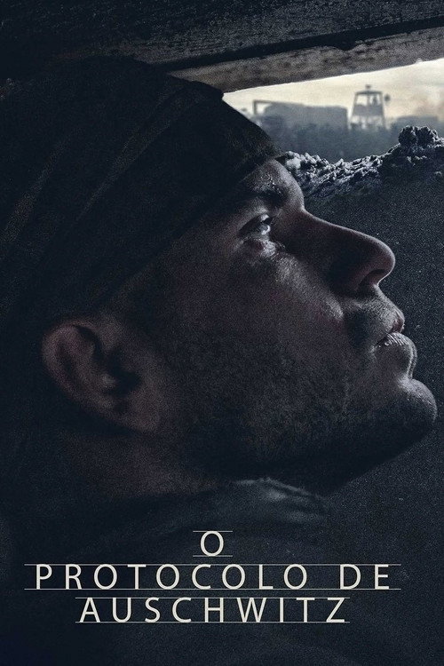 Assistir O Protocolo de Auschwitz