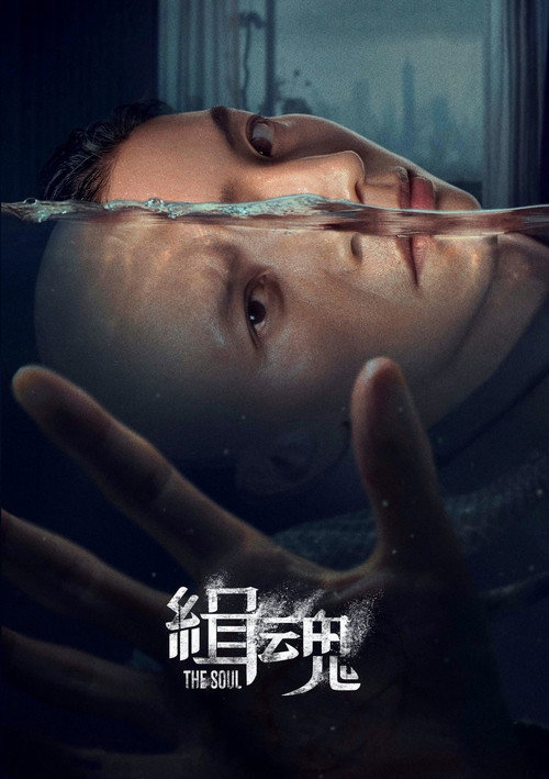 Assistir The Soul