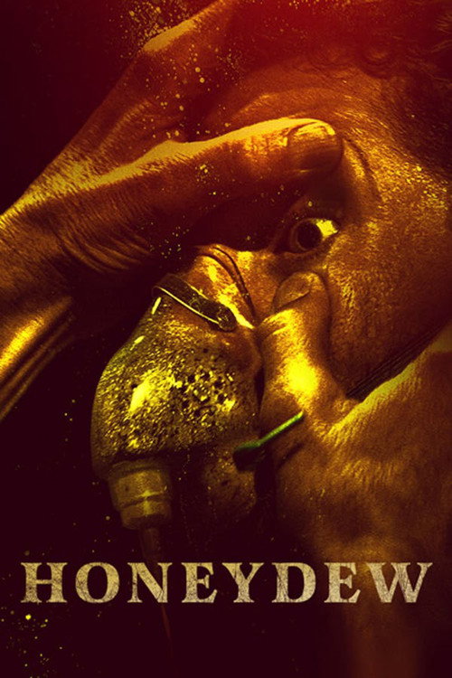 Assistir Honeydew