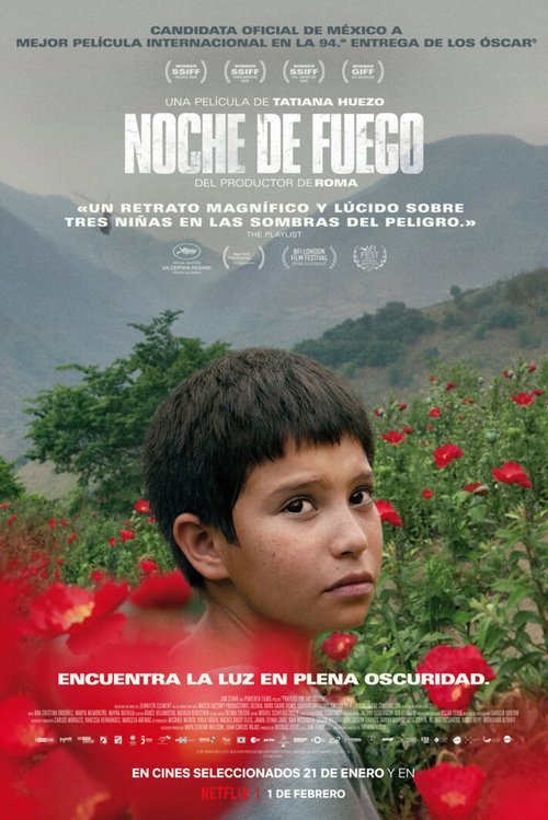 Assistir A Noite do Fogo