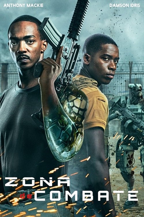 Assistir Zona de Combate
