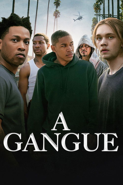 Assistir A Gangue