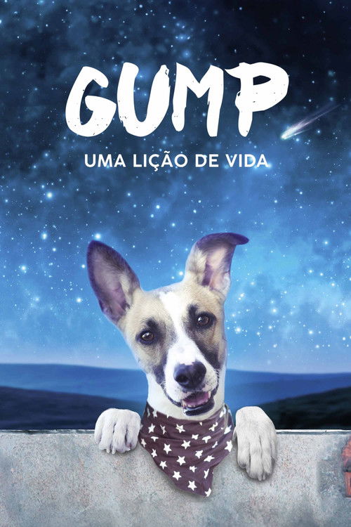 Assistir Gump: Uma Lição de Vida