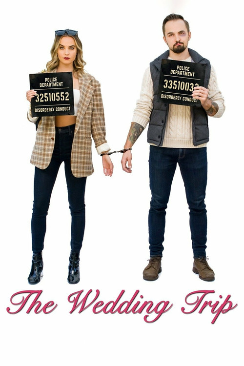 Assistir The Wedding Trip