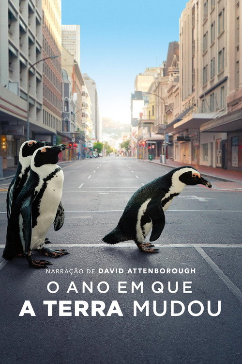 Assistir O Ano em que a Terra Mudou
