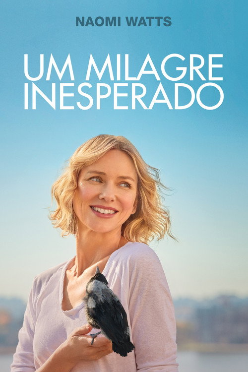 Assistir Um Milagre Inesperado