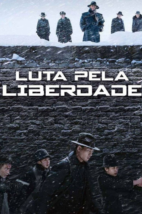 Assistir Luta Pela Liberdade