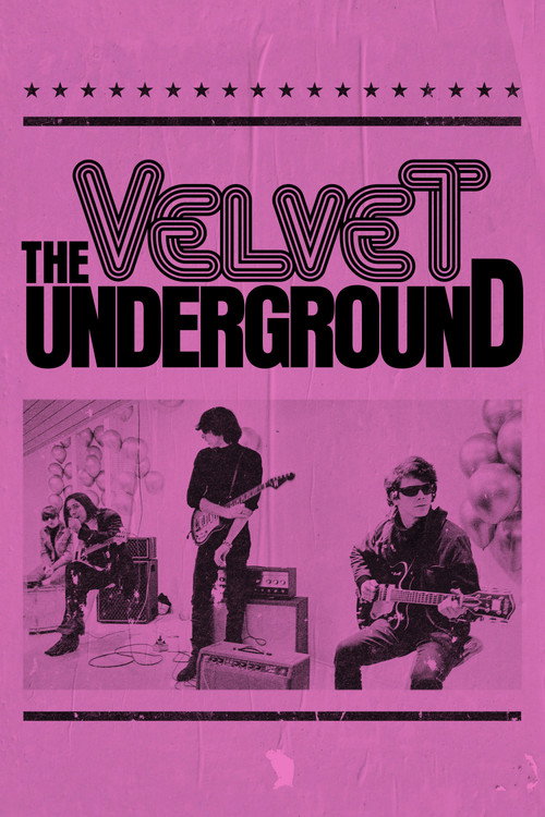 Assistir The Velvet Underground
