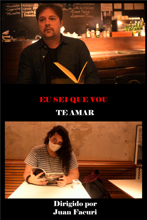 Assistir Eu Sei Que Vou Te Amar