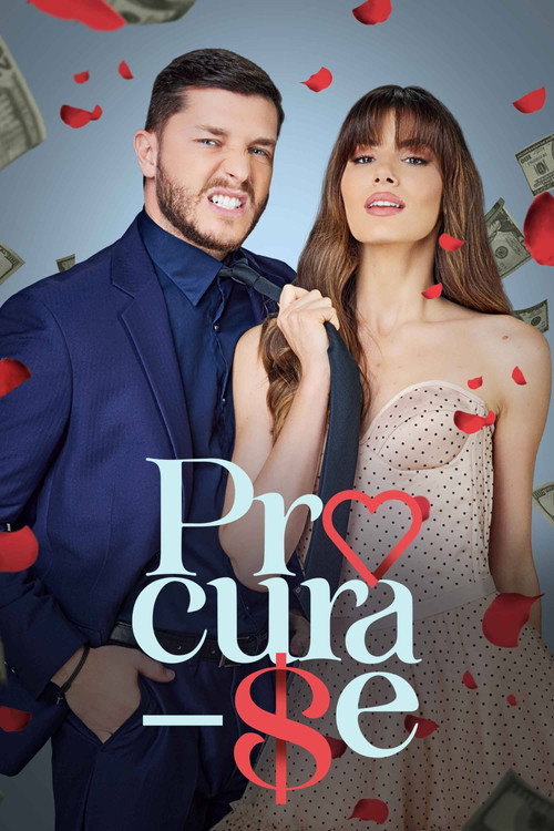 Assistir Procura-se
